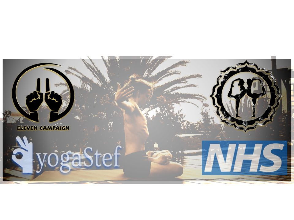 ANOTHER SYNERGY FUNDRAISER ANNOUNCED FOR NHS Sunday 19/4/2020 2pm gmt with Eleven Campaign